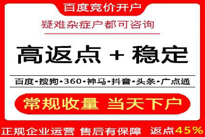 SEM推广代运营案例深度剖析